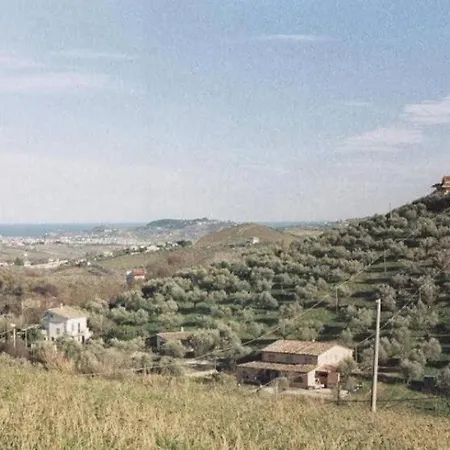 Elster Collecorvino